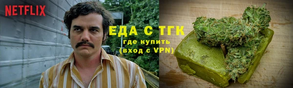 гидра Алексин
