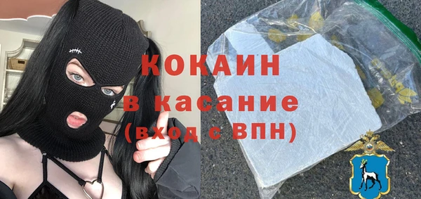 гидра Алексин